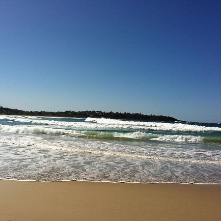 Mollymook Paradise Haven Motel Esterno foto